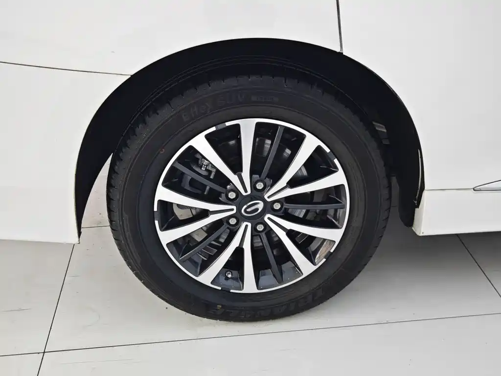 GAC Motor Trumpchi M8 2022 — фото 27