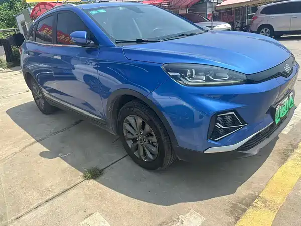 WM Motor EX5 2019