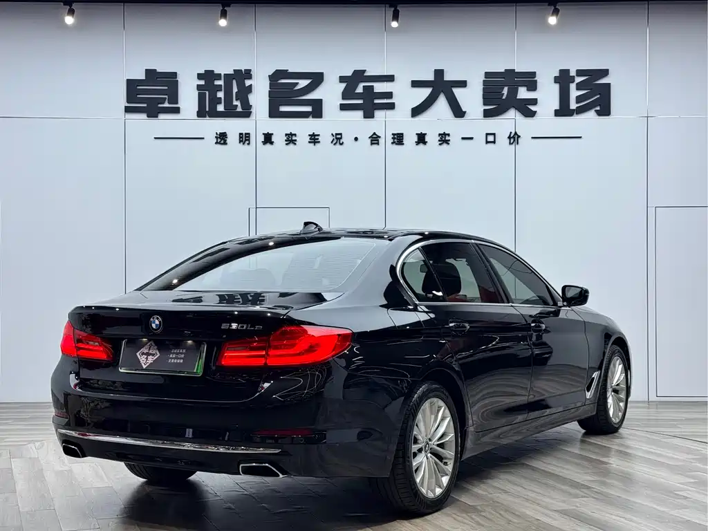 BMW 5 Series New Energy 2019 — фото 19