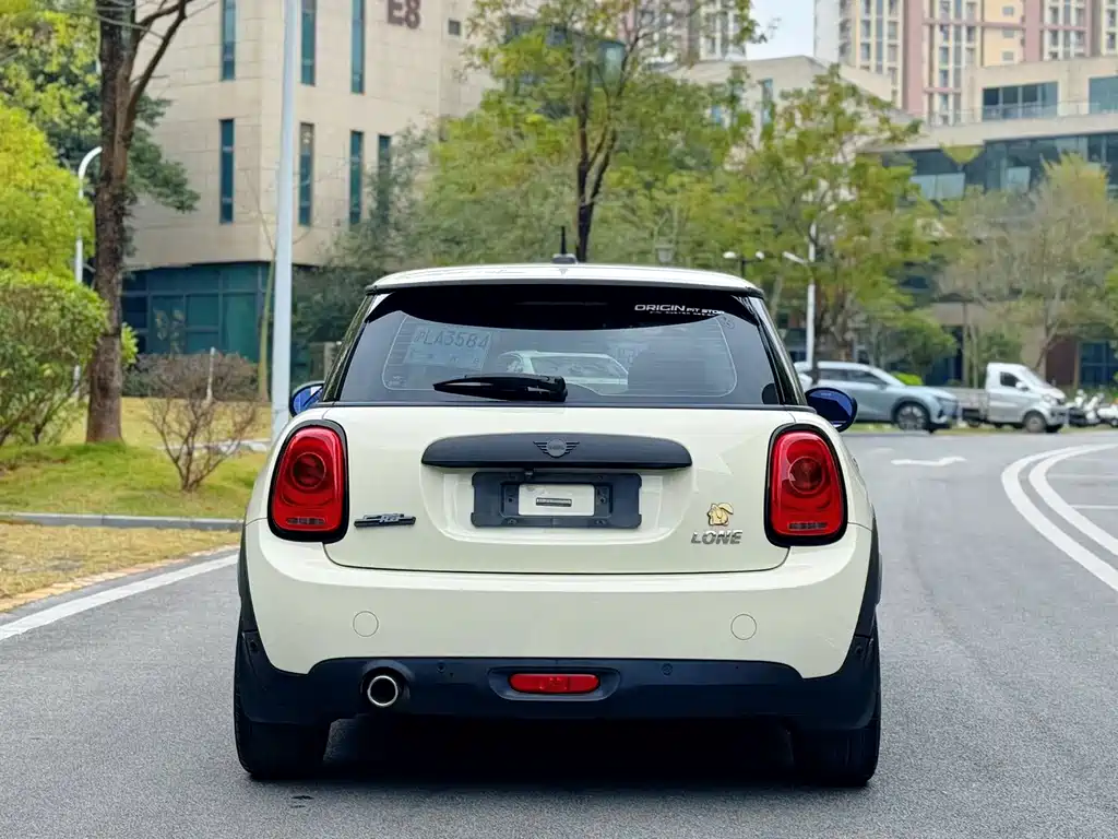 MINI MINI 2020