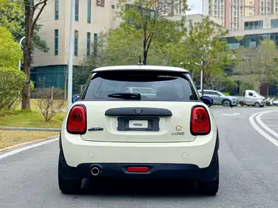 MINI MINI 2020