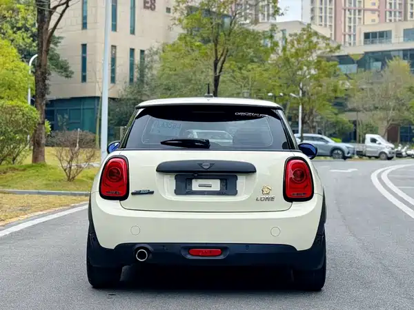 MINI MINI 2020