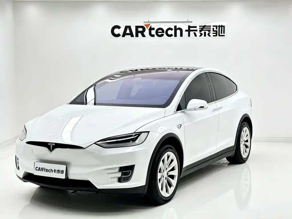 Tesla Model X 2020 — фото 1