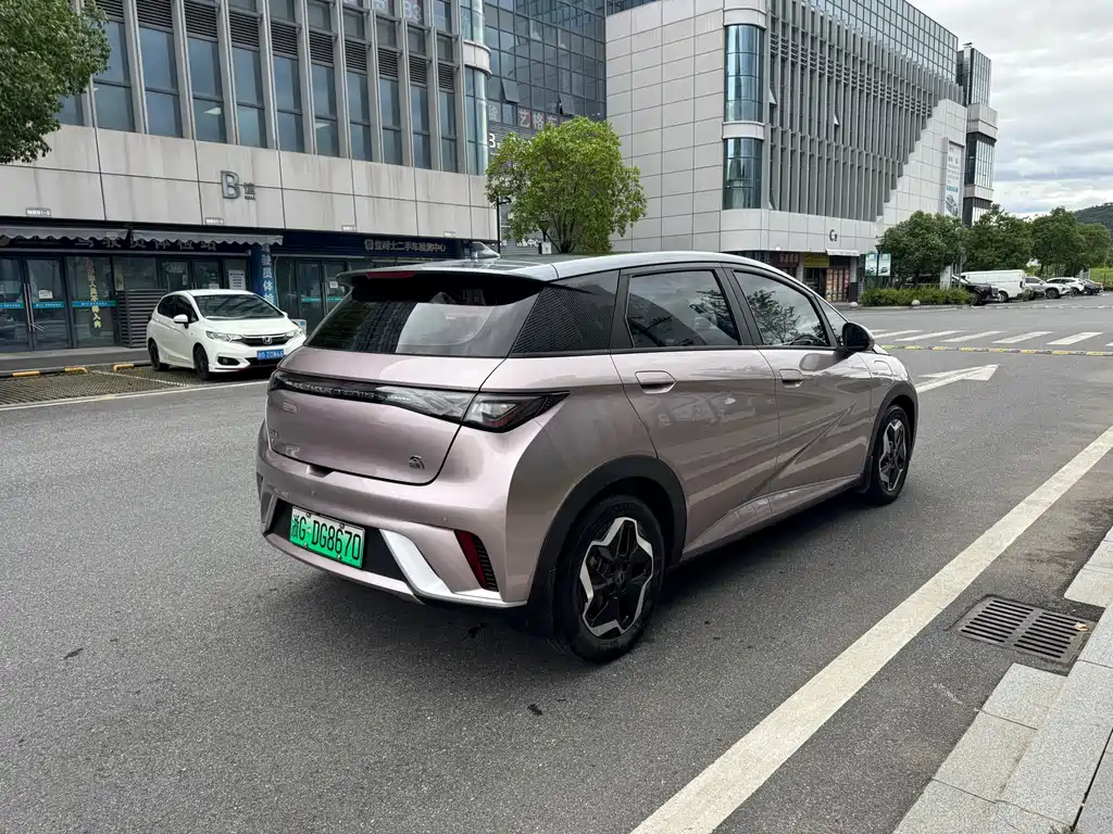 BYD Dolphin 2022