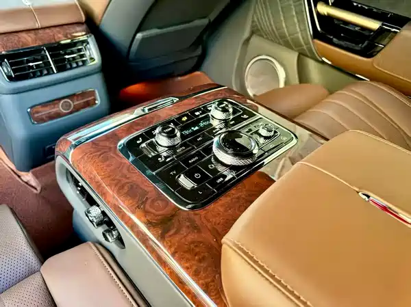 Hongqi Golden Sunflower Guoyao 2022