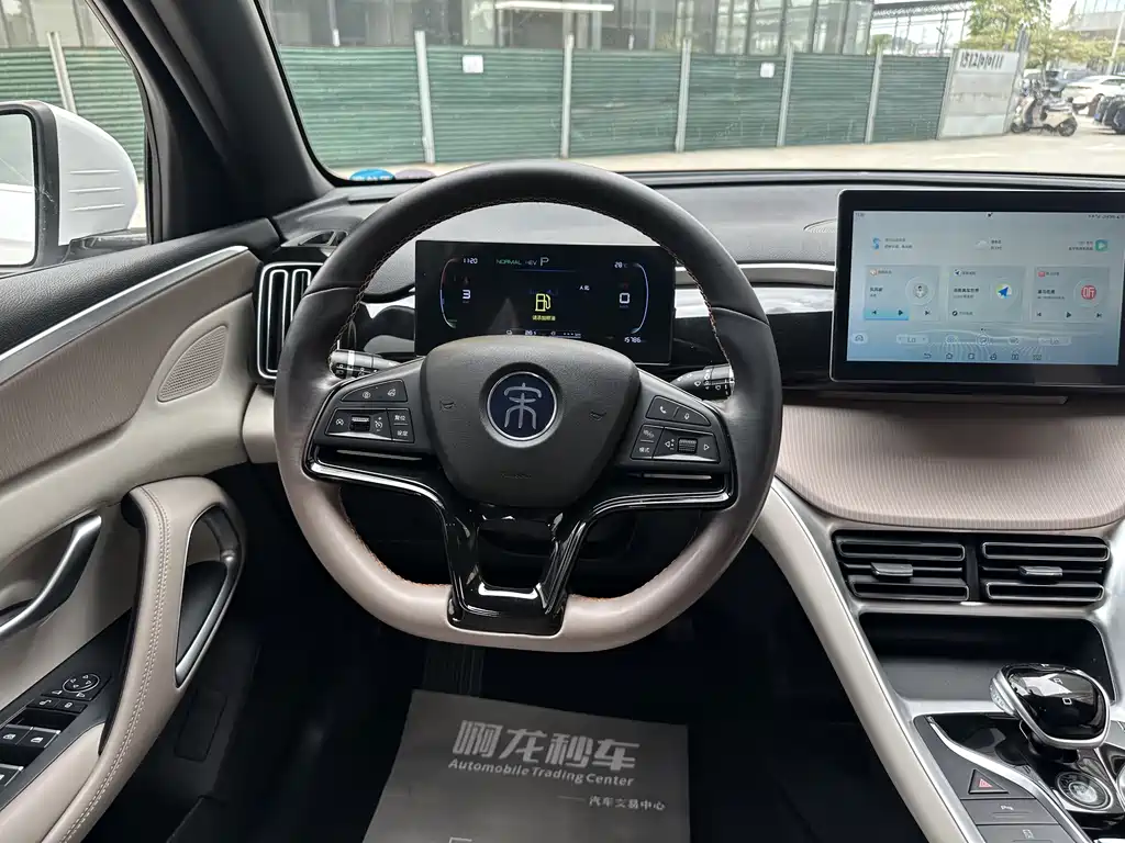 BYD Pro New Energy 2023 — фото 9