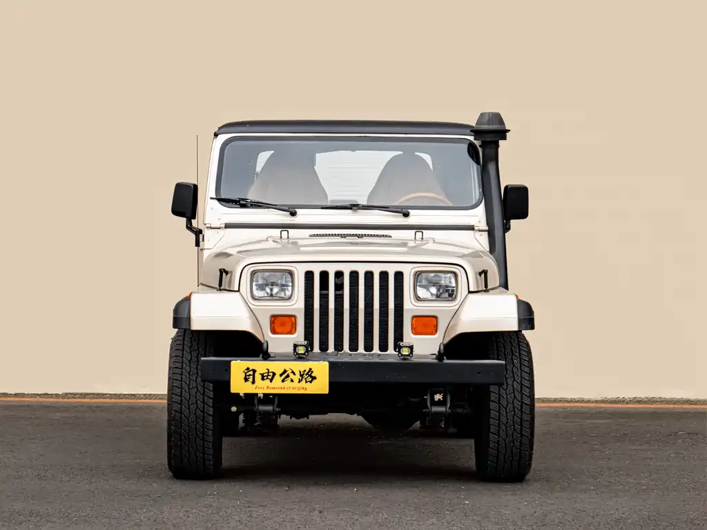 Jeep Wrangler 1995 — фото 4