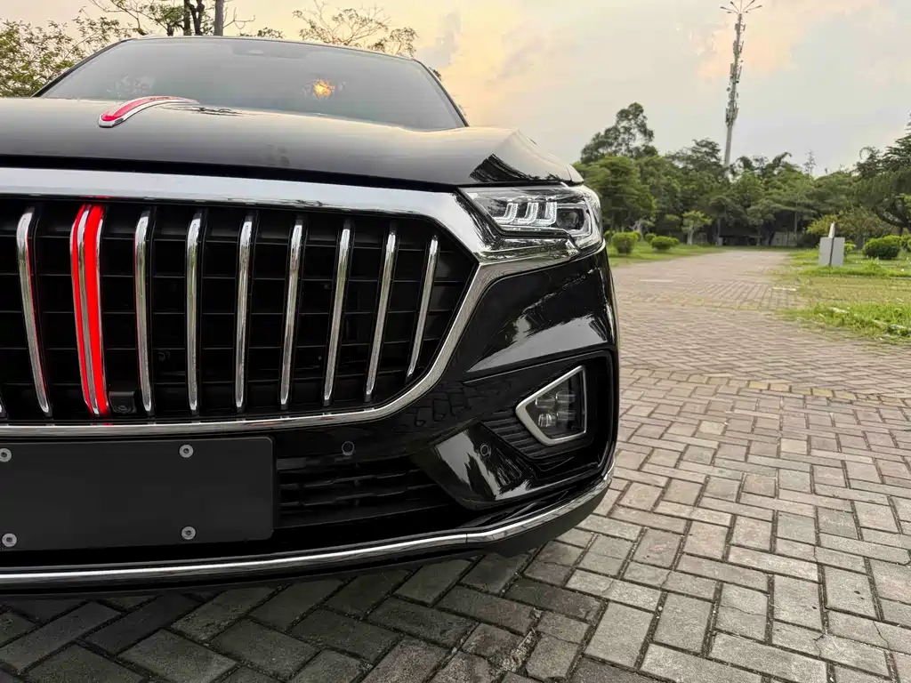 Hongqi HS5 2021 — фото 20