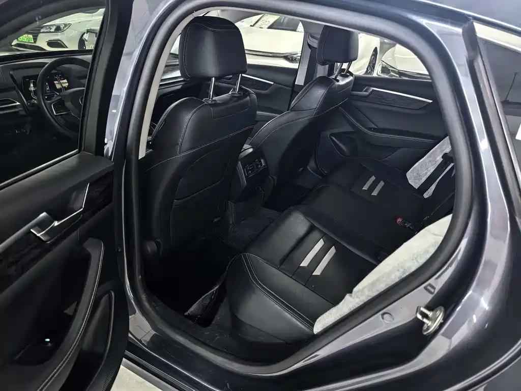 BYD Qin Pro NEV 2020 — фото 6