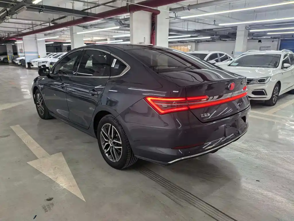 BYD Qin Pro NEV 2020 — фото 12