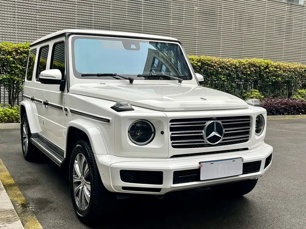 Mercedes-Benz G-Class 2021 — фото 3