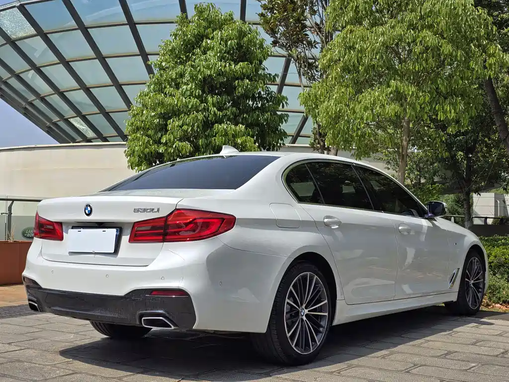 BMW 5 Series 2020 — фото 10