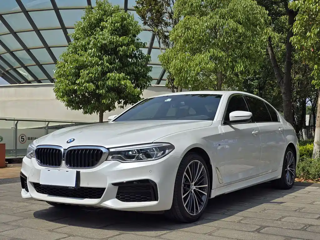 BMW 5 Series 2020 — фото 1