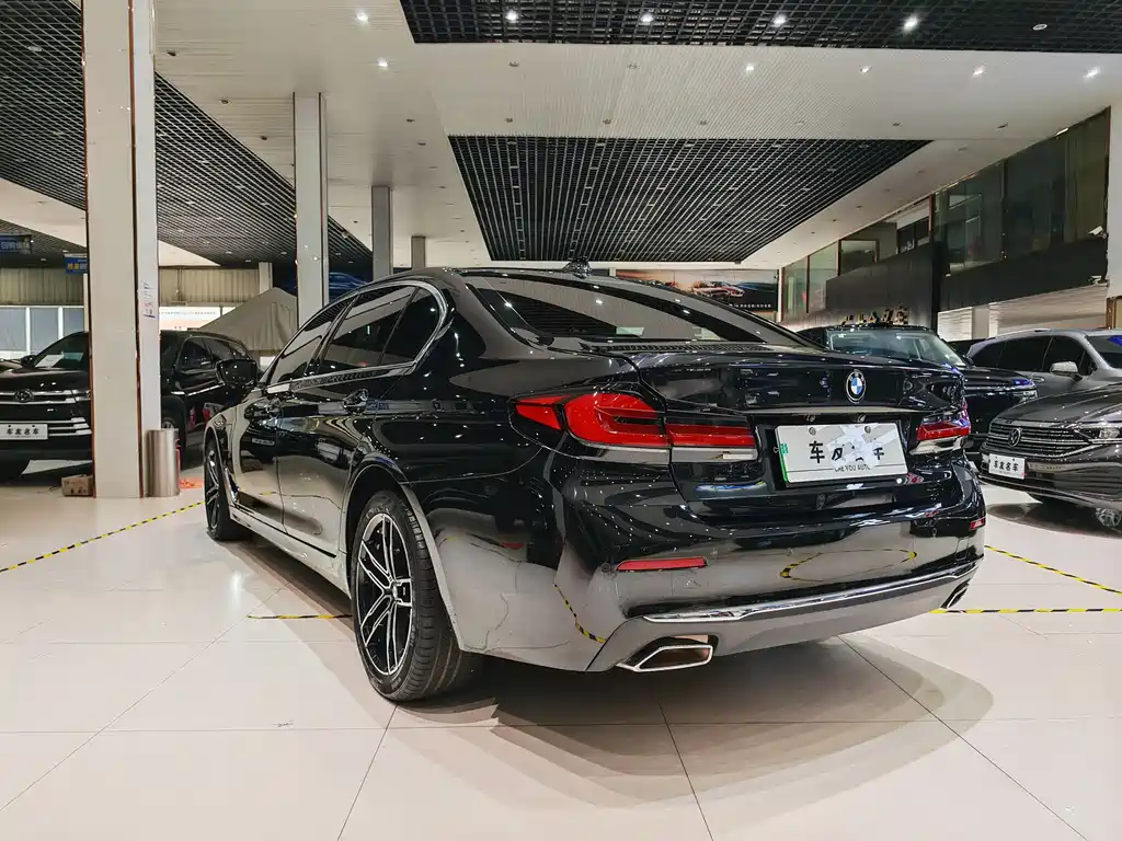 BMW 5 Series New Energy 2021 — фото 15