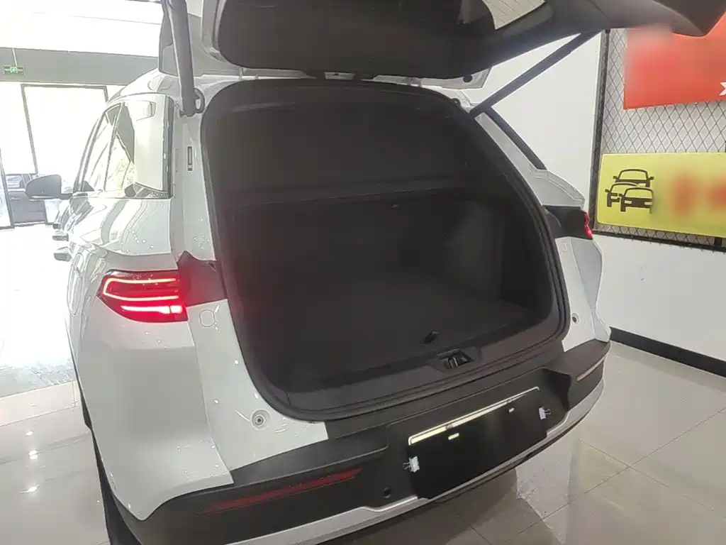 BYD Song Pro New Energy 2025 — фото 19