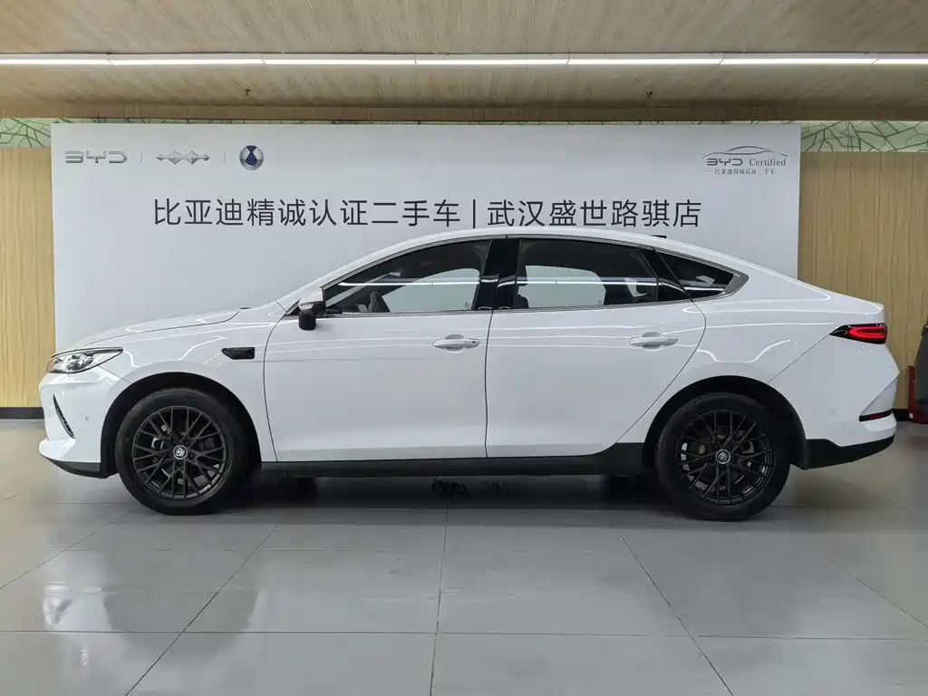 BYD Qin PLUS 2025 — фото 3