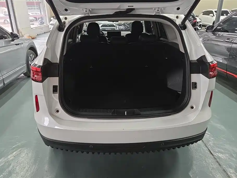 Haval H6 New Energy 2022 — фото 4