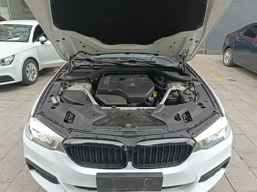 BMW 5 Series 2018 — фото 20