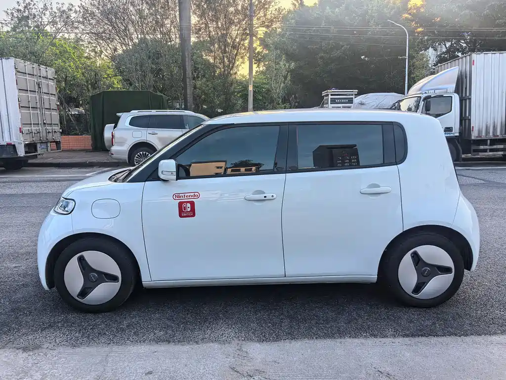 Ora White Cat 2021