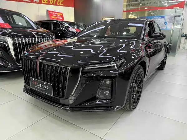 Hongqi H5 2024