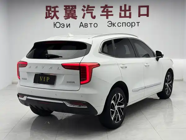 Haval First Love 2021