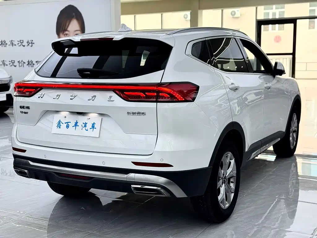 Haval H6 2023 — фото 8