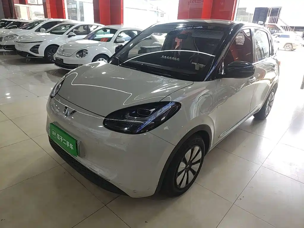 Wuling Bingo 2024