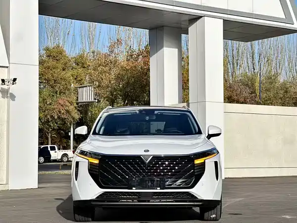 Venucia Big V 2022