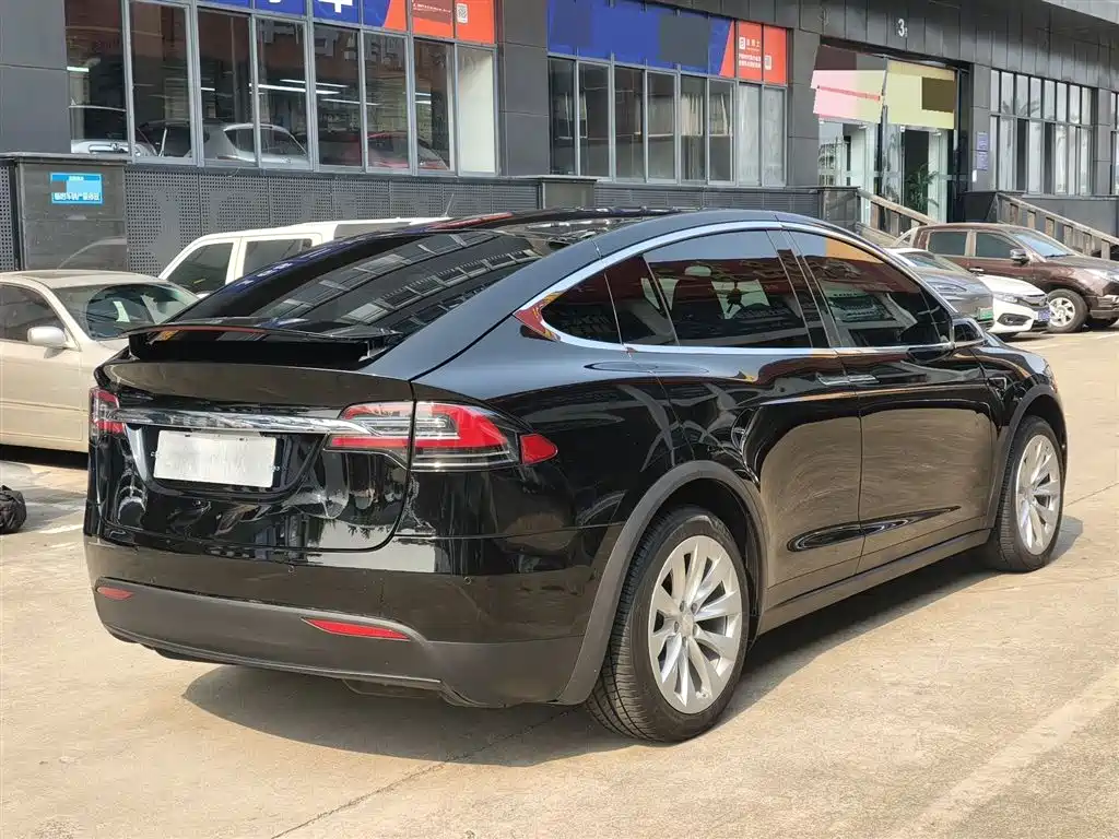 Tesla Model X 2017 — фото 9