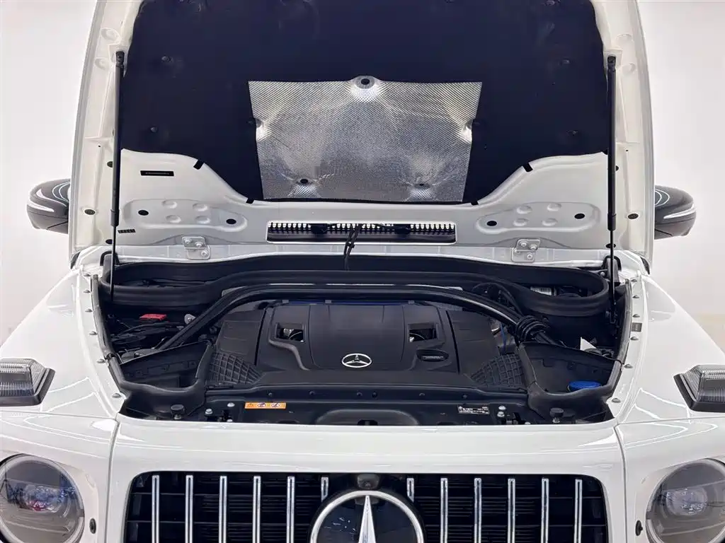 Mercedes-Benz G-Class 2020 — фото 4