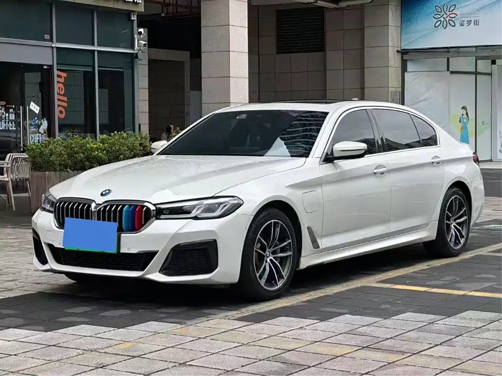 BMW 5 Series New Energy 2021