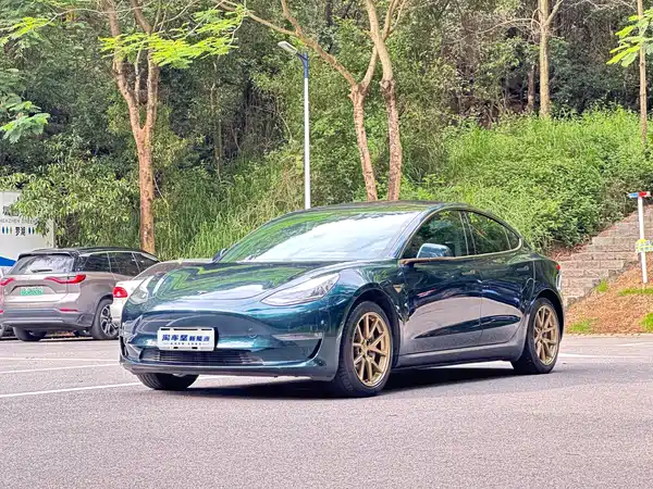 Tesla Model 3 2019