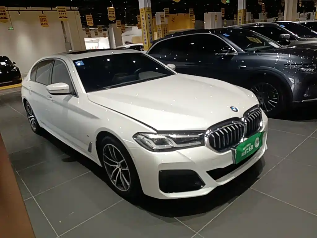 BMW 5 Series New Energy 2021