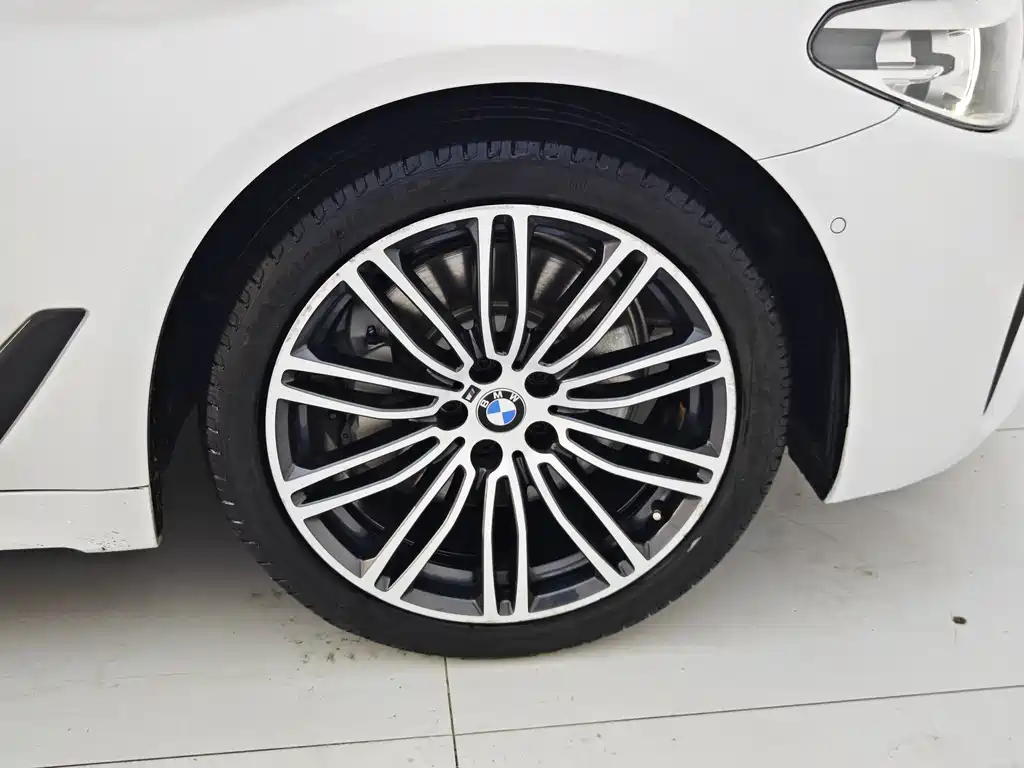 BMW 5 Series 2019 — фото 30