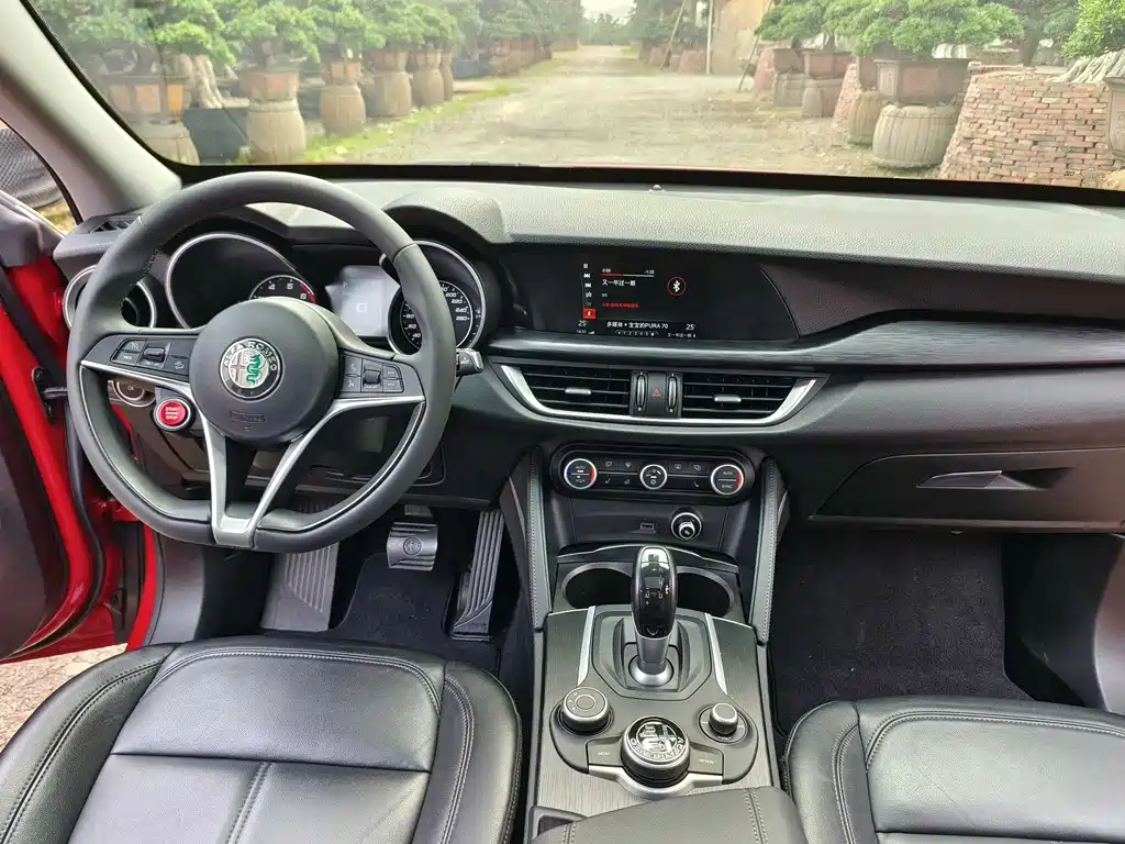 Alfa Romeo Stelvio 2019 — фото 12