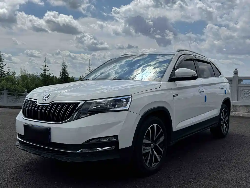 Skoda Kamiq 2022