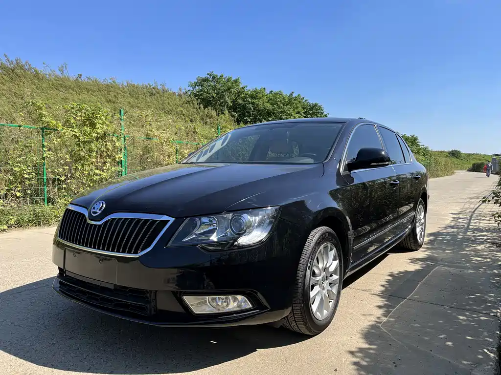 Skoda Speedy 2015