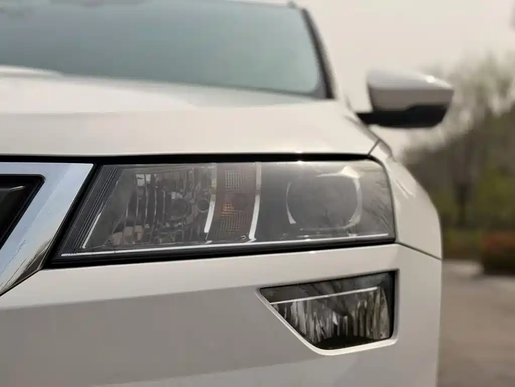 Skoda Karoq 2019 — фото 4