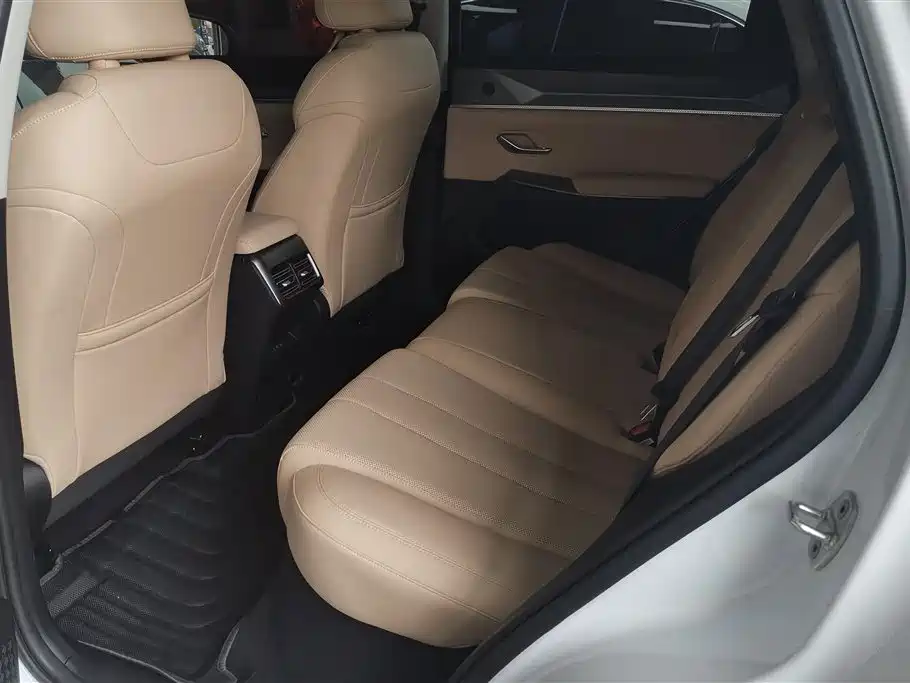 BYD Pro New Energy 2025 — фото 11