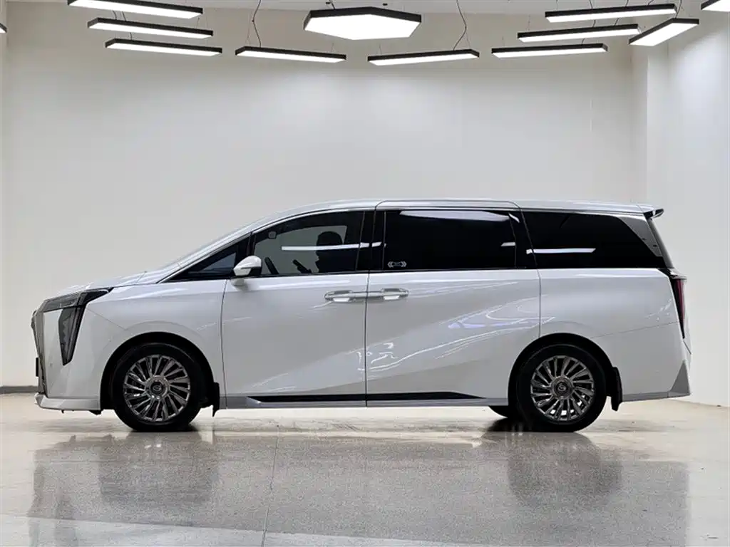 GAC Motor Trumpchi M8 2024 — фото 21
