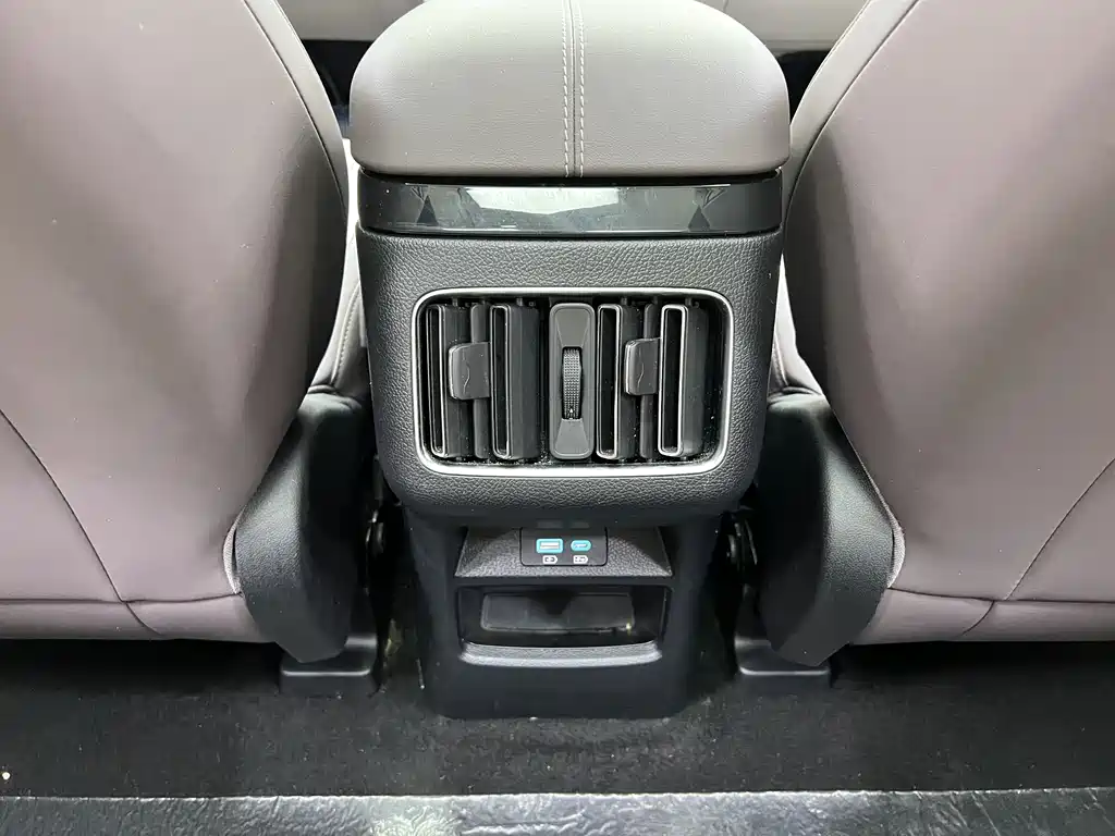BYD PLUS New Energy 2024 — фото 16