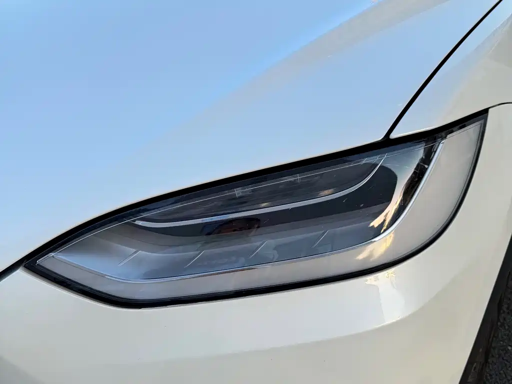 Tesla Model X 2020 — фото 6