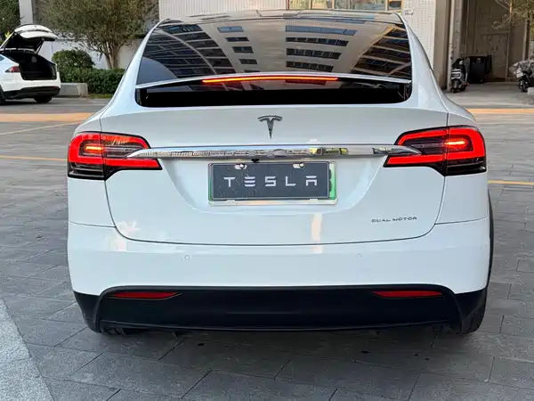 Tesla Model X 2019