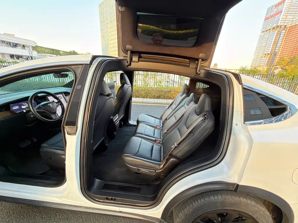 Tesla Model X 2020 — фото 12