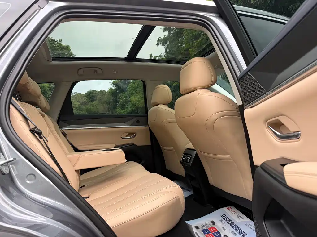 BYD Song Pro New Energy 2024 — фото 8
