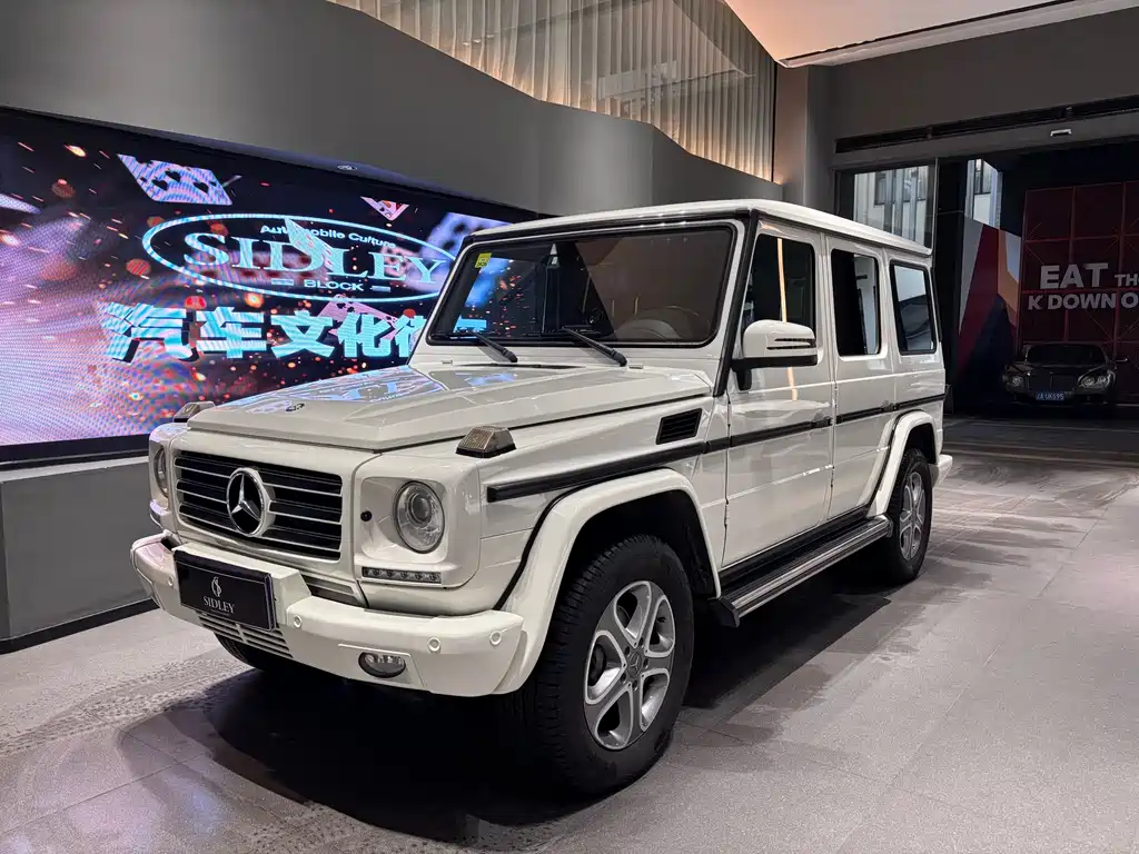 Mercedes-Benz G-Class 2013 — фото 1