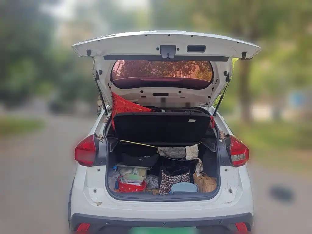 Chery Tiggo 3x 2019 — фото 10