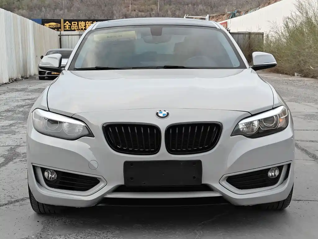 BMW 2 Series 2016