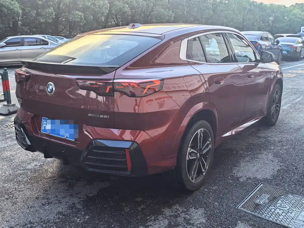 BMW X2 2024 — фото 10