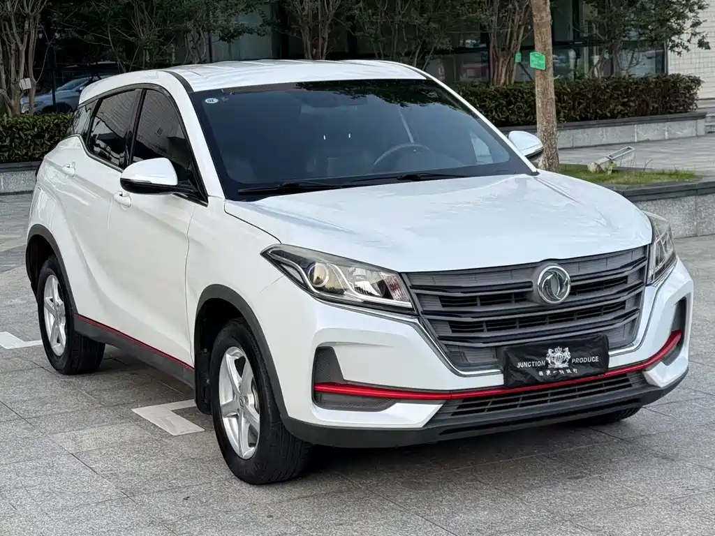 Fengguang 500 2021